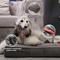 Show in main carousel: LaiFug Orthopedic Memory Foam Dog Bed, Gray & blue, Large slide 3 of 7
