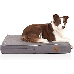 LaiFug Orthopedic Memory Foam Dog Bed, Gray Orchid, Medium