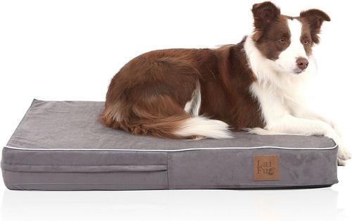 Show full view: LaiFug Orthopedic Memory Foam Dog Bed, Gray Orchid, Medium slide 1 of 8