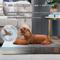 Show in main carousel: LaiFug Orthopedic Memory Foam Dog Bed, Gray Orchid, Medium slide 4 of 8