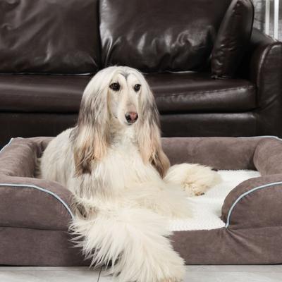 Show full view: LaiFug Orthopedic Premium Memory Foam Dog Bed Sofa, Grey, Large slide 5 of 7