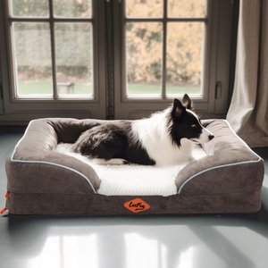LaiFug Orthopedic Premium Memory Foam Dog Bed Sofa, Grey, Medium