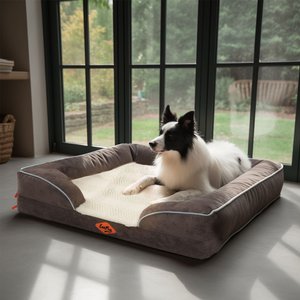 LaiFug Orthopedic Premium Memory Foam Dog Bed Sofa, Grey, Medium