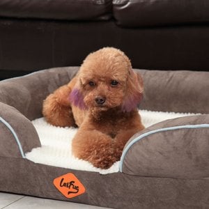 LaiFug Orthopedic Premium Memory Foam Dog Bed Sofa, Grey, Small