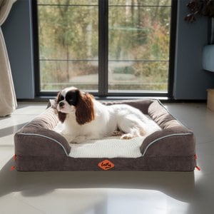 LaiFug Orthopedic Premium Memory Foam Dog Bed Sofa, Grey, Small