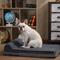 Show in main carousel: LaiFug Single Pillow Dog Bed, Black & White, Medium slide 7 of 7