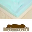 Show in main carousel: LaiFug Surround Sofa Orthopedic Pillow Dog Bed with Removable Cover, Chocolate, Large slide 3 of 8