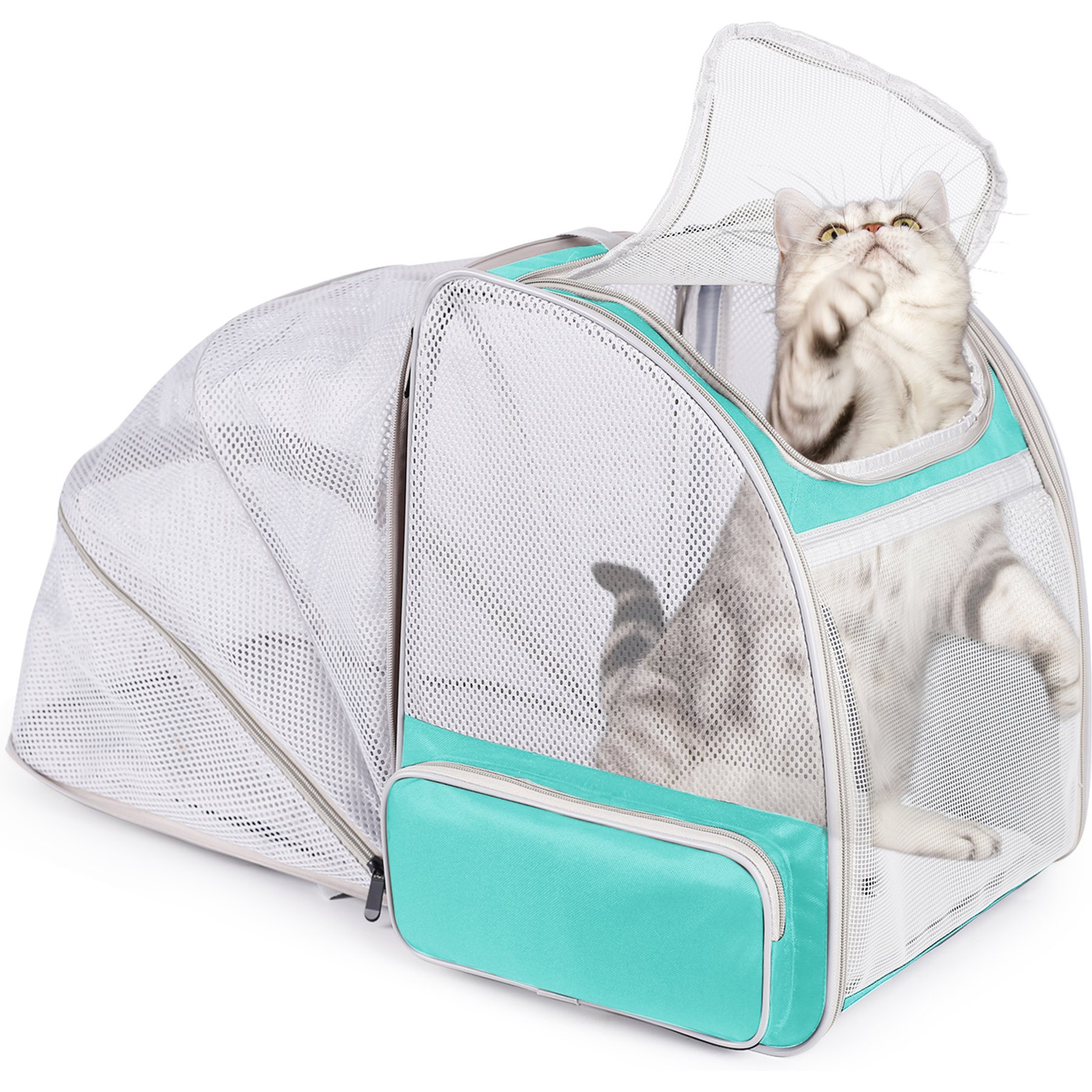LAIRIES Curved Back Expandable Collapsible Backpack Dog & Cat Carrier, Large, Green