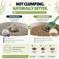 LAQU Eco-Friendly Sensitive Unscented Grass Cat Litter, 7.9-lb box slide 2 of 4