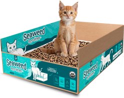 LAQU Eco- Litter Classic USDA Organic Pre-filled Disposable Cat Litter Box, 7.9-lb