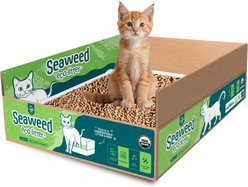 LAQU Eco- Litter Special USDA Organic Pre-filled Disposable Cat Litter Box, 7.9-lb