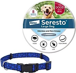 Large Seresto Flea & Tick Collar for Dogs + SecureAway Flea Collar Protector, Blue Paws, Large slide 1 of 9