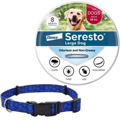 Show full view: Large Seresto Flea & Tick Collar for Dogs + SecureAway Flea Collar Protector, Blue Paws, Large slide 1 of 10