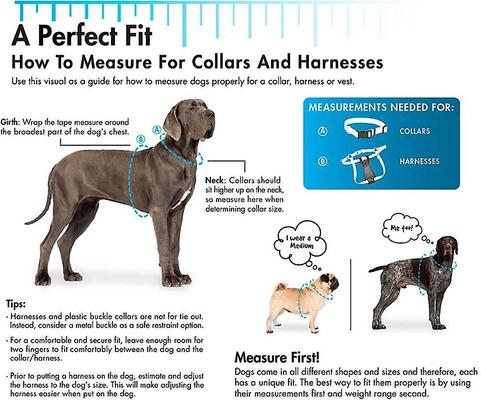 Show full view: Large Seresto Flea & Tick Collar for Dogs + SecureAway Flea Collar Protector, Blue Paws, Large slide 3 of 10