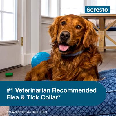 Show full view: Large Seresto Flea & Tick Collar for Dogs + SecureAway Flea Collar Protector, Blue Paws, Large slide 9 of 10