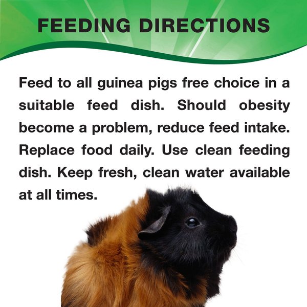 3-D Guinea Pig Food, 4.5-lb jar