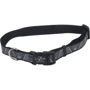 LAZER BRITE Reflective Adjustable Dog Collar, Skulls Crossbones