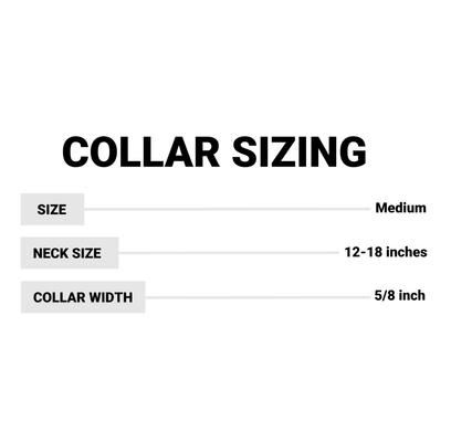 Show full view: Lazer Brite Reflective Adjustable Dog Collar, Skulls & Crossbones, 12-18-in slide 2 of 2