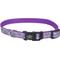Show in main carousel: Lazer Brite Reflective Open-Design Adjustable Collar, Purple Daisy, 12-18-in slide 1 of 8