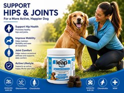Leap Pharma Krill Beef Flavor Hip & Joint Soft Chew Supplement for Dogs, 90 count slide 2 of 9