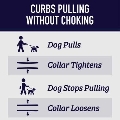 Show full view: Leash Boss Chain Martingale Dog Collar, Blue, Large slide 3 of 10