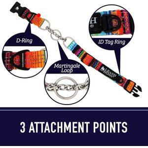 Leash Boss Chain Martingale Dog Collar, Blue, Large