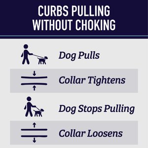 Leash Boss Chain Martingale Dog Collar, Blue, Medium