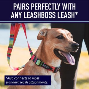 Leash Boss Chain Martingale Dog Collar, Blue, Medium