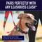 Show in main carousel: Leash Boss Chain Martingale Dog Collar, Orange, Med-Large slide 10 of 11