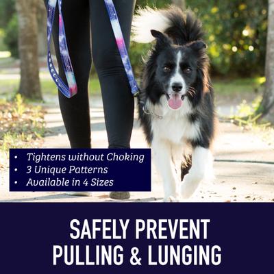 Show full view: Leash Boss Chain Martingale Dog Collar, Purple/Pink, Medium slide 5 of 10