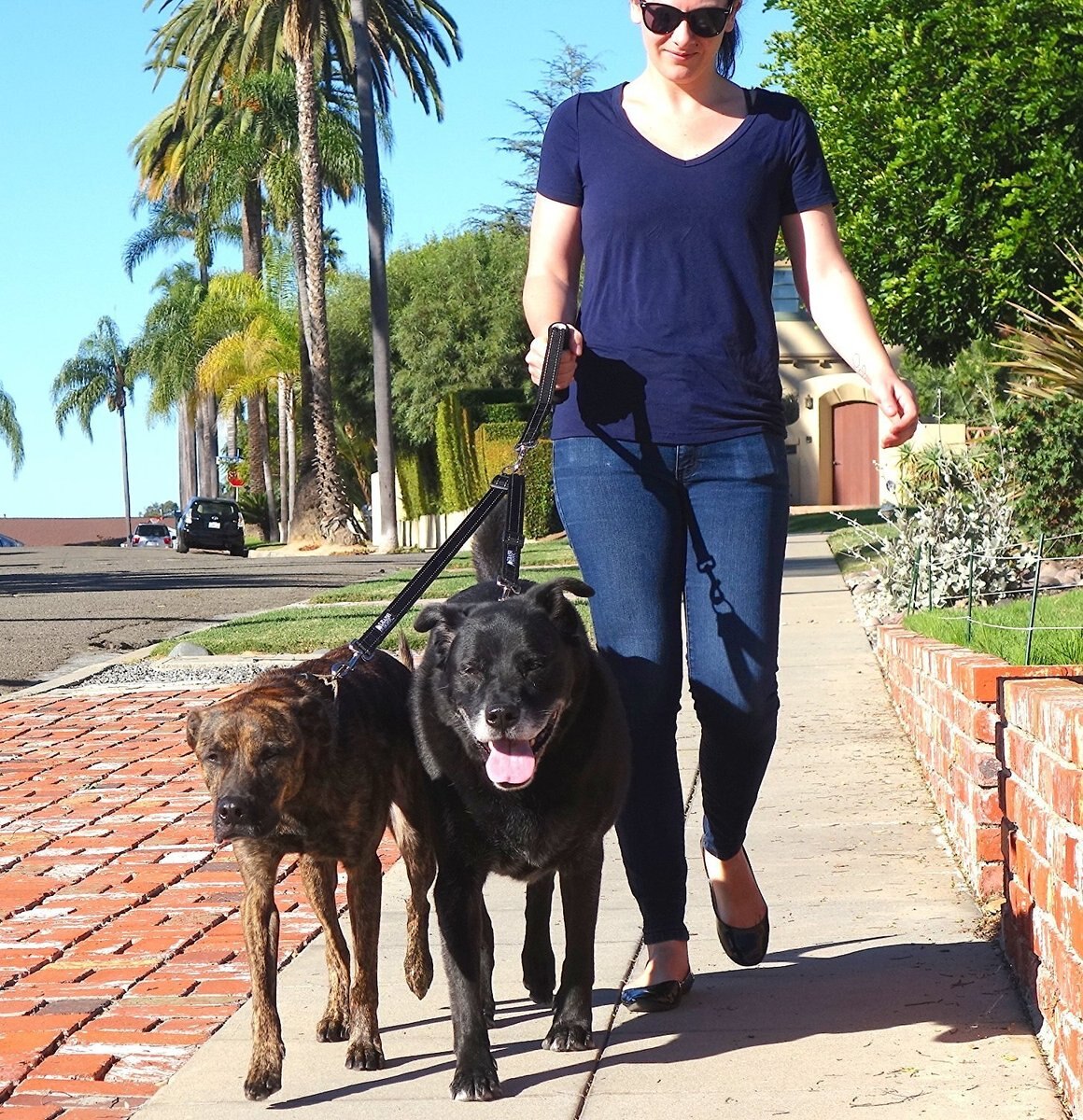 Leash Boss Duo Reflective Double Dog Leash Coupler with Handle