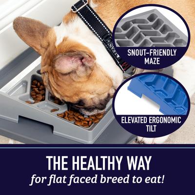 Show full view: Leash Boss Flat Face Slow Feeder Dog Bowl, Large, Gray slide 3 of 9