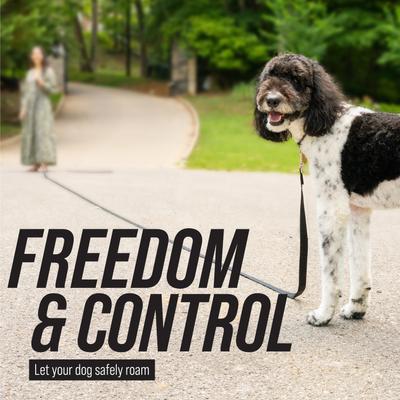 Show full view: Leash Boss Handle X-Long Dog Leash, Black, 20-ft slide 5 of 9