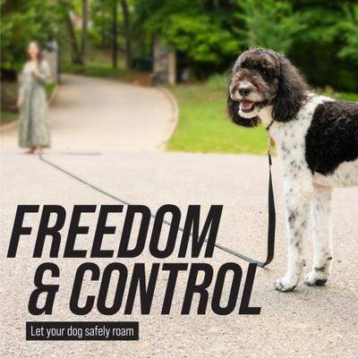 Show full view: Leash Boss Handle X-Long Dog Leash, Black, 50-ft slide 5 of 9