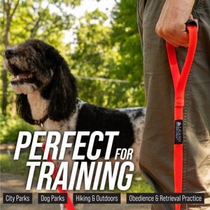 Leash Boss Handle X-Long Dog Leash, Orange, 30-ft