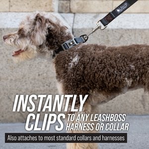 Leash Boss Handle X-Long Dog Leash, Orange, 30-ft