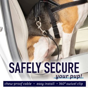 Leash Boss Heavy Duty No-Chew Dog Car Restraint Seatbelt, 26-in
