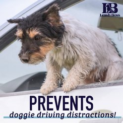 Leash Boss Heavy Duty No-Chew Dog Car Restraint Seatbelt, 36-in slide 2 of 8