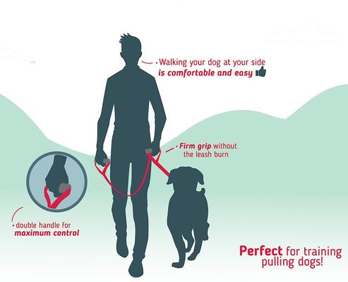 Show full view: Leash Boss Original Heavy Duty Two Handle No Pull Double Dog Leash, Black, 5-ft slide 6 of 9