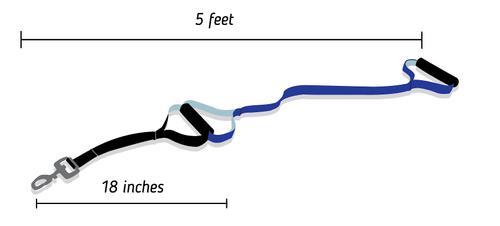 Show full view: Leash Boss Original Heavy Duty Two Handle No Pull Double Dog Leash, Blue, 5-ft slide 5 of 9