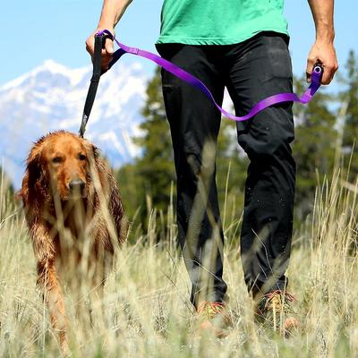 Show full view: Leash Boss Original Heavy Duty Two Handle No Pull Double Dog Leash, Purple, 5-ft slide 4 of 9