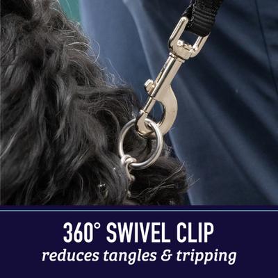 Show full view: Leash Boss Padded Handle Long Dog Leash, 10-ft, Black slide 5 of 9