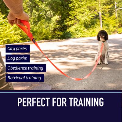 Show full view: Leash Boss Padded Handle Long Dog Leash, 10-ft, Black slide 8 of 9