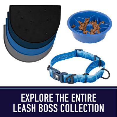 Show full view: Leash Boss Padded Handle Long Dog Leash, 10-ft, Orange slide 9 of 9