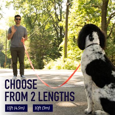 Show full view: Leash Boss Padded Handle Long Dog Leash, 15-ft, Black slide 4 of 9