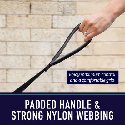 Show full view: Leash Boss Padded Handle Long Dog Leash, 15-ft, Orange slide 3 of 9