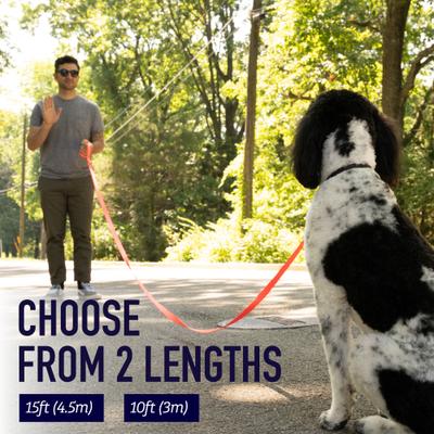 Show full view: Leash Boss Padded Handle Long Dog Leash, 15-ft, Orange slide 4 of 9