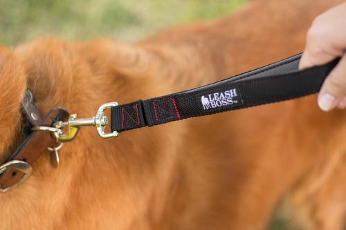Show full view: Leash Boss Padded Handle Short Dog Leash, 1-ft slide 3 of 8