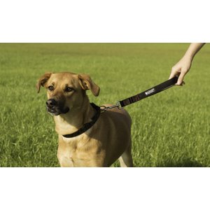 Leash Boss Padded Handle Short Dog Leash, 1-ft