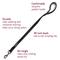 Show in main carousel: Leash Boss Padded Handle Short Dog Leash, Black, 30-in slide 2 of 10